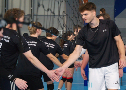 hráči si po hře podávají ruce